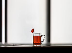 盘点那些让人一见倾心的高颜值玻璃大水杯品牌