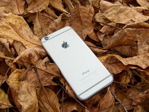 iPhone手机壳品牌精选，时尚与功能性的完美结合