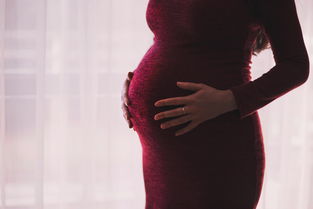 孕期护理必备—揭秘大品牌孕妇沐浴露的神奇魅力