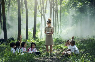 揭秘张家界舞蹈学校加盟品牌，如何开启你的舞蹈教育之旅