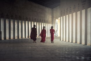 汉服，传统与现代的时尚交响