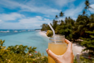 夏日清爽必备！盘点那些让你沐浴一夏的沐浴露品牌