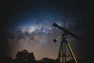 东方星座——书法艺术的璀璨星空