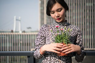 高圆圆蛋糕碎花裙品牌，时尚与美味的完美结合