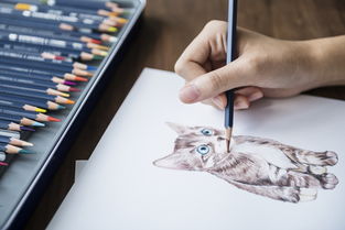 猫太子铅笔品牌故事与体验分享