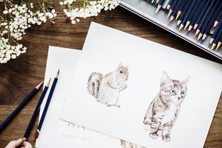 猫太子铅笔品牌故事与体验分享