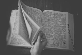 美术品牌名字英文大全，创意、风格与独特性的完美结合