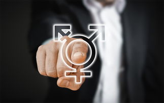 探索成人用牙刷的奥秘，选择、使用与效果