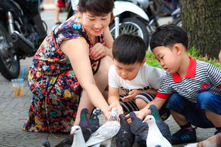 幼教品牌宣传片策划方案，打造孩子们的快乐天地