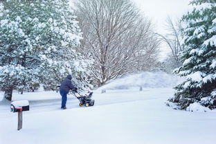 韩国积雪沐浴露—冬日里的温暖呵护，肌肤的雪中炭