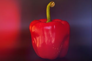 食品级唇彩——安全与美丽的完美结合