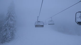 品牌铲雪铲子推荐冬季出行必备，这些铲雪神器让你轻松应对雪天挑战！