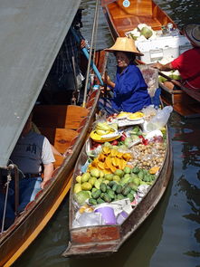 中餐厅品牌介绍，品味传统与现代融合的美食之旅