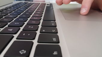 探索Mac鼠标的世界，品牌、功能与选择指南