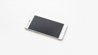 探索无线鼠标的时尚与实用——白色鼠标品牌精选