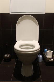 国际洁具卫浴10大品牌