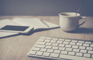 盘点那些提供免费Office Word软件的电脑品牌及选购指南