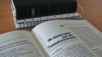 好的，以下是一篇关于外地中餐品牌的文章，采用了口语化的风格，并使用表格和案例来解释说明