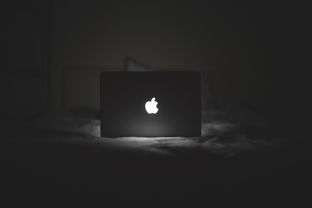盘点那些年我们一起在网吧度过的时光—网吧电脑品牌大盘点