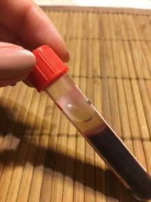 揭秘最佳铅笔品牌，哪款铅笔是你的心头好？
