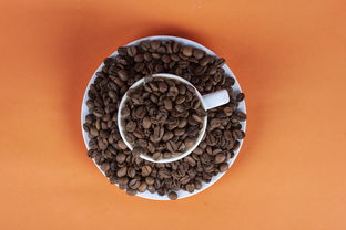 正山小种茶叶品牌深度解析