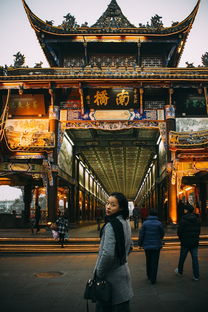 徐汇区相机品牌店深度解析，探寻专业摄影的宝藏之地