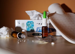 揭秘自动喷雾消毒机器人品牌，守护健康，科技助力消毒新篇章