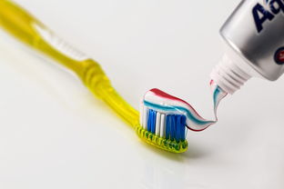 家庭口腔健康新选择一家三口的牙刷品牌大比拼