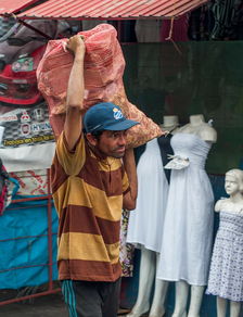 探索汉服世界的瑰宝——品牌汉服店精选
