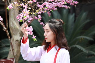 探索不贵的古风汉服品牌