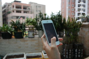 iPhone手机壳品牌are的多样化选择与市场表现