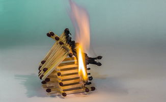 农具铲子品牌大盘点，看看哪些品牌最受欢迎！