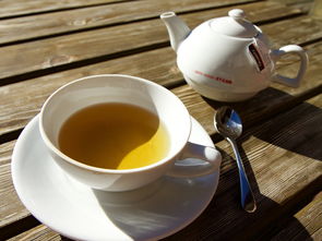 耐高温泡茶水杯品牌盘点，选对杯子，让茶香四溢！