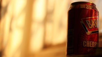 高端西餐酒类品牌深度解析