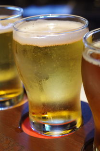 香港最好喝的白酒品牌大盘点