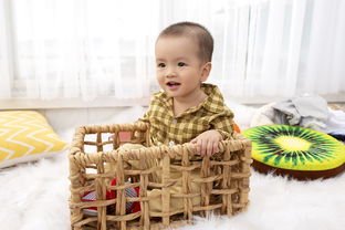 北美幼教玩具推荐品牌，玩转童年乐趣与教育成长