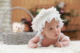 揭秘品牌婴幼儿玩具，如何为宝宝挑选最适合的益智玩具？