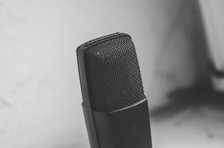 最好听的录音耳机品牌大解析