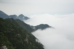山水耳机，揭秘其品牌背后的故事与品质