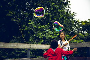 揭秘瑞安幼儿园玩具品牌，陪伴孩子快乐成长的秘密武器！