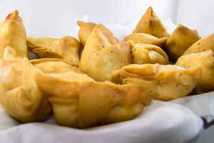 孟加拉国油炸小吃品牌，传承美味，缔造美食文化