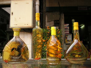 平价无酒精漱口水品牌全解析