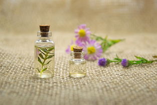 再生卫生巾品牌,引领绿色革命,塑造未来女性健康新选择