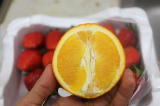 怎么选食用油品牌最好？看我一一揭秘