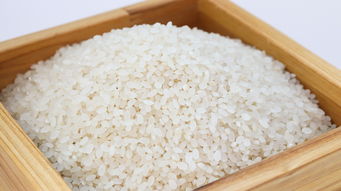 简单易做辅食机品牌盘点，新手妈妈的好帮手！