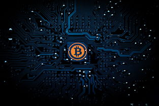 如何让付费网站火起来—全方位推广攻略