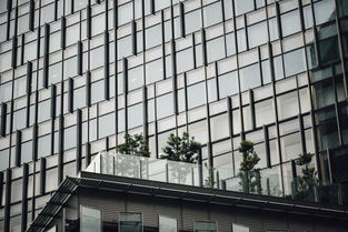 射阳县门窗行业品牌建设与市场拓展策略