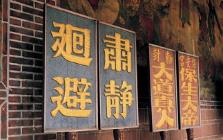 松阳品牌推广书法班——传承文化，提升艺术修养