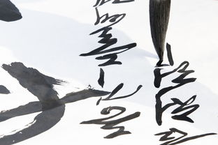 品牌书法视频，如何通过书法艺术提升品牌形象