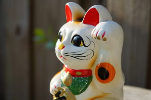 揭秘品牌猫猫水龙头，一款让你爱不释手的厨房神器！